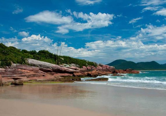 photo : 