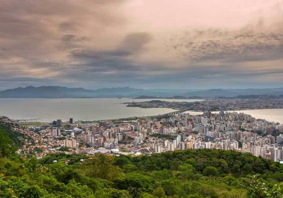 photo : 
