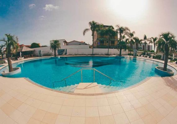 photo : 